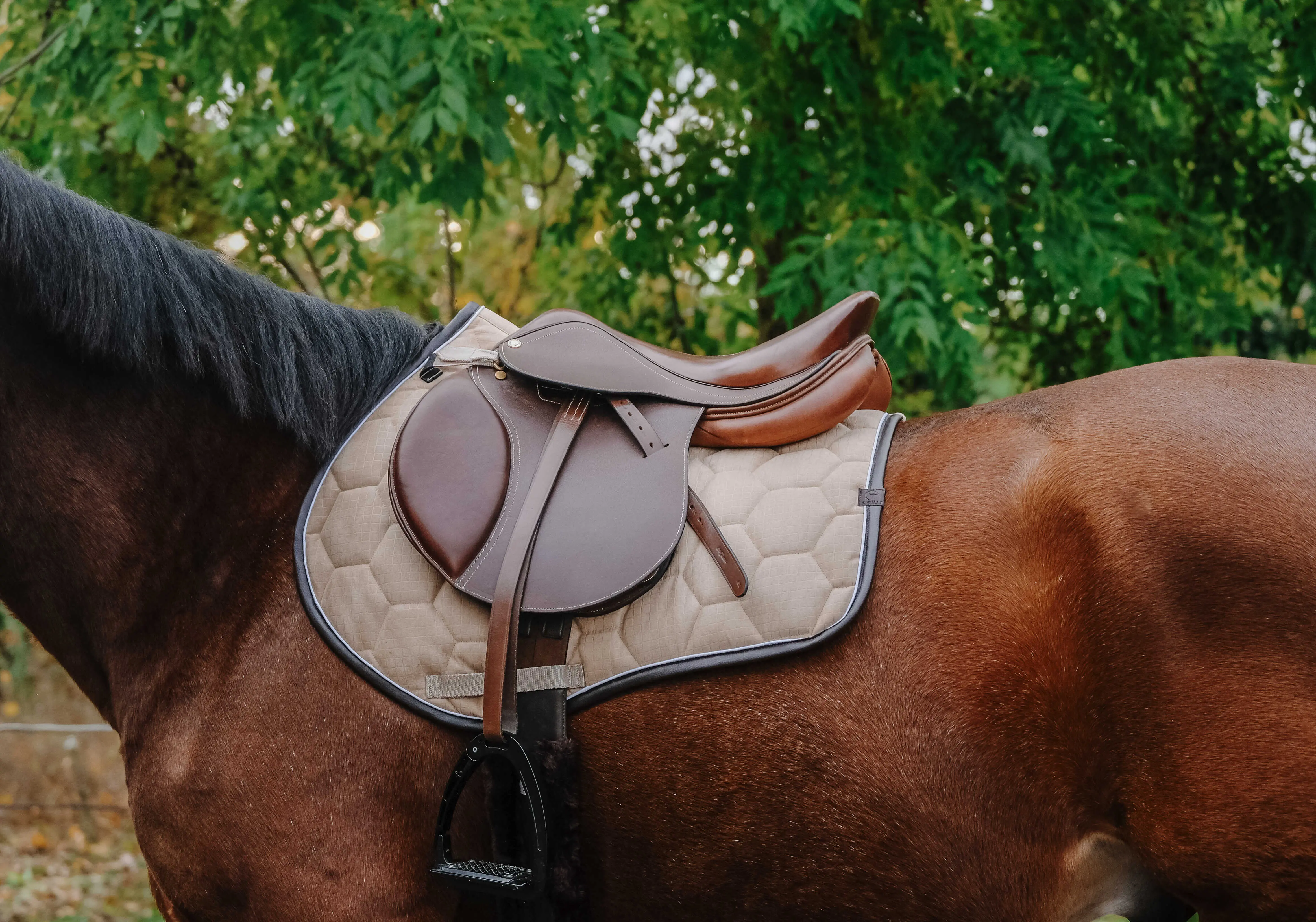 Equithème Quadri Saddle Pad - Image 7