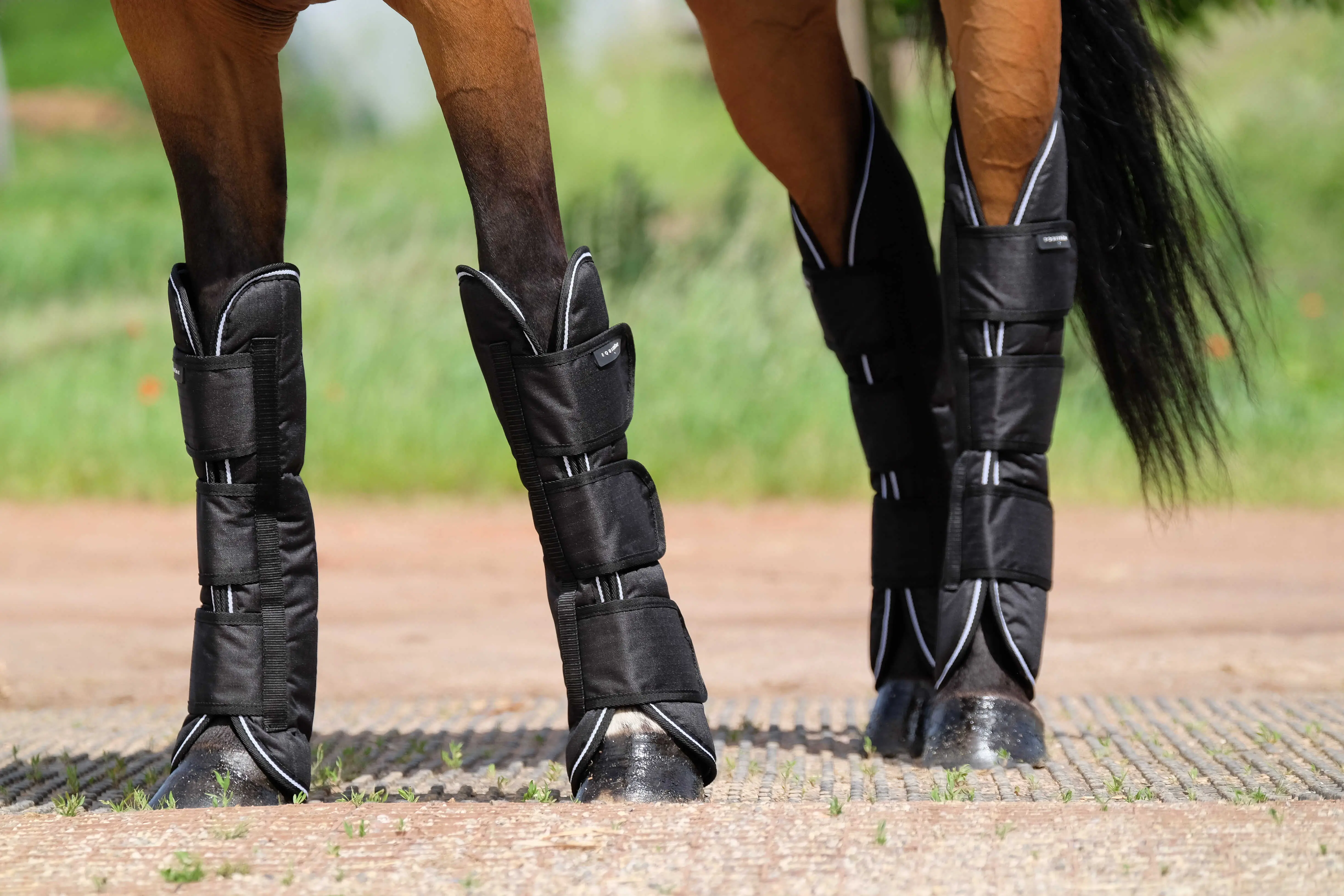 Equithème - Tyrex 600D - Shipping Boots - Image 2