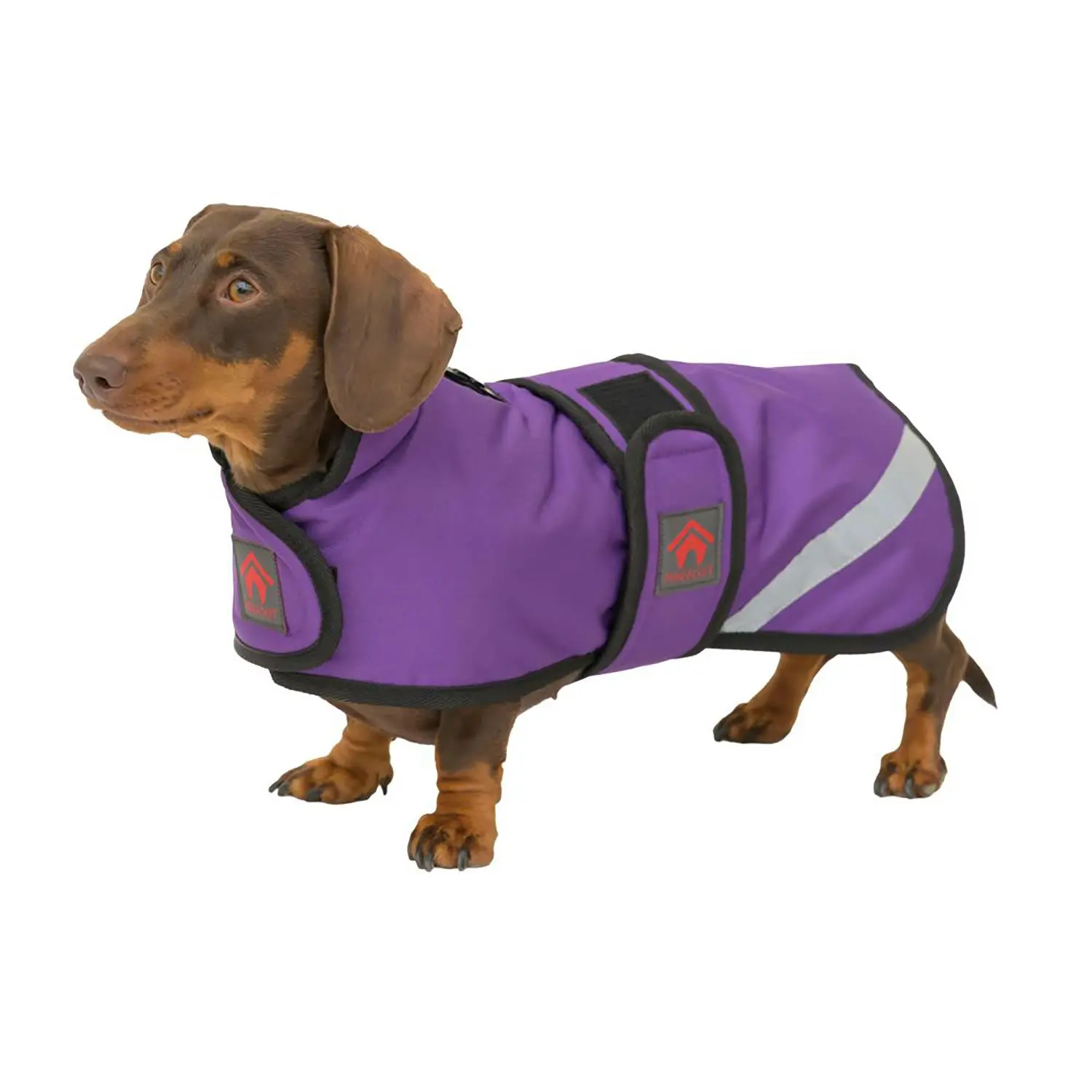 Firefoot Outdoor Dachshund Coat With Fleecy Lining Navy - Image 7