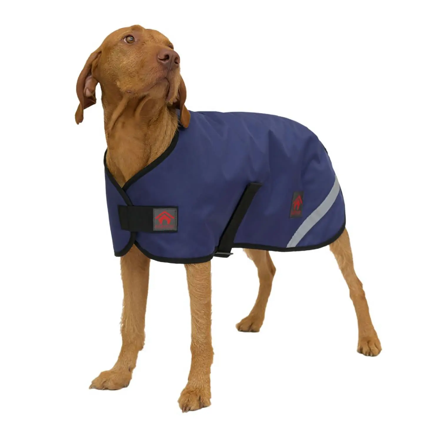 Firefoot Outdoor Dog Coat With Fleecy Lining Navy - Image 9