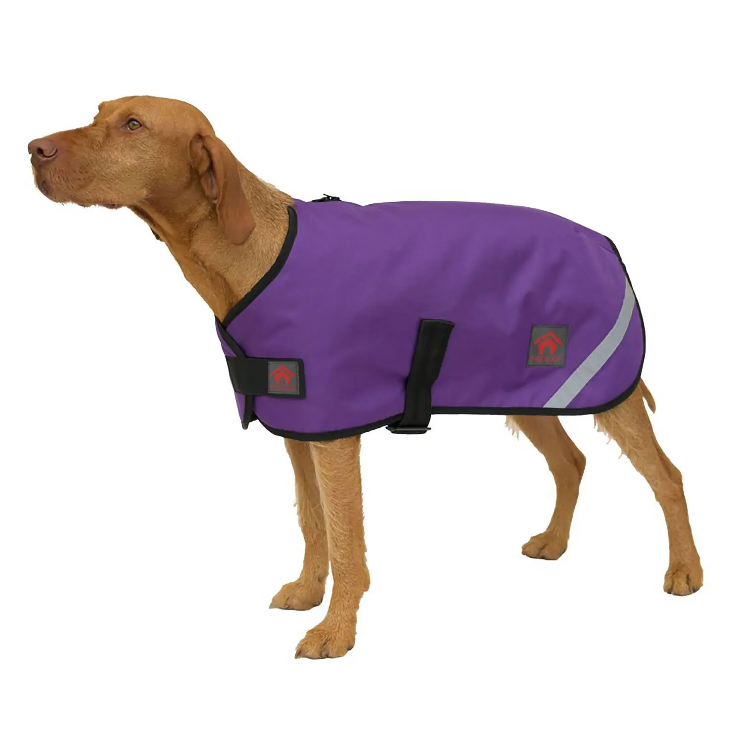 Firefoot Outdoor Dog Coat With Fleecy Lining Purple - Image 3