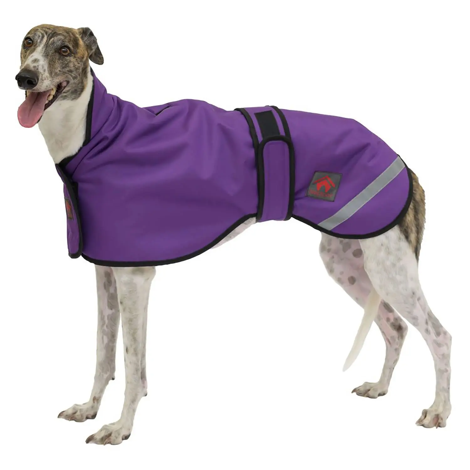 Firefoot Outdoor Sighthound Coat With Fleecy Lining Purple - Image 5