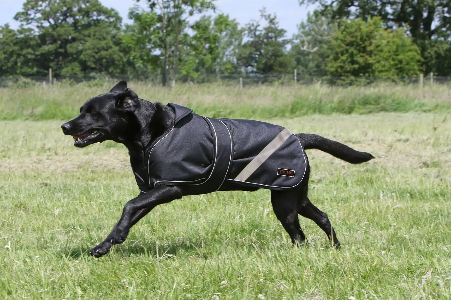 Firefoot Waterproof 2-In-1 Dog Coat Reflective Black - Image 4