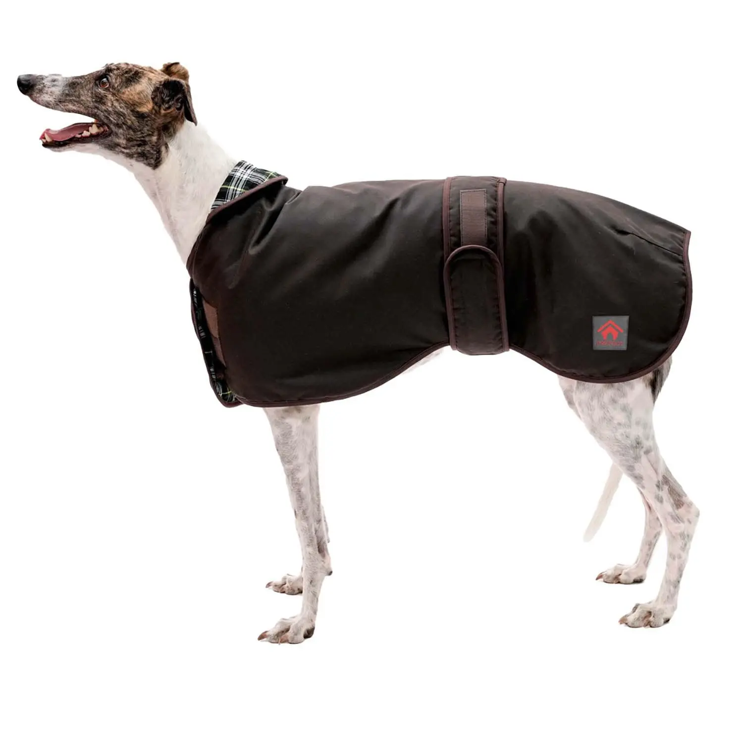 Firefoot Waxed Sighthound Coat - Image 7
