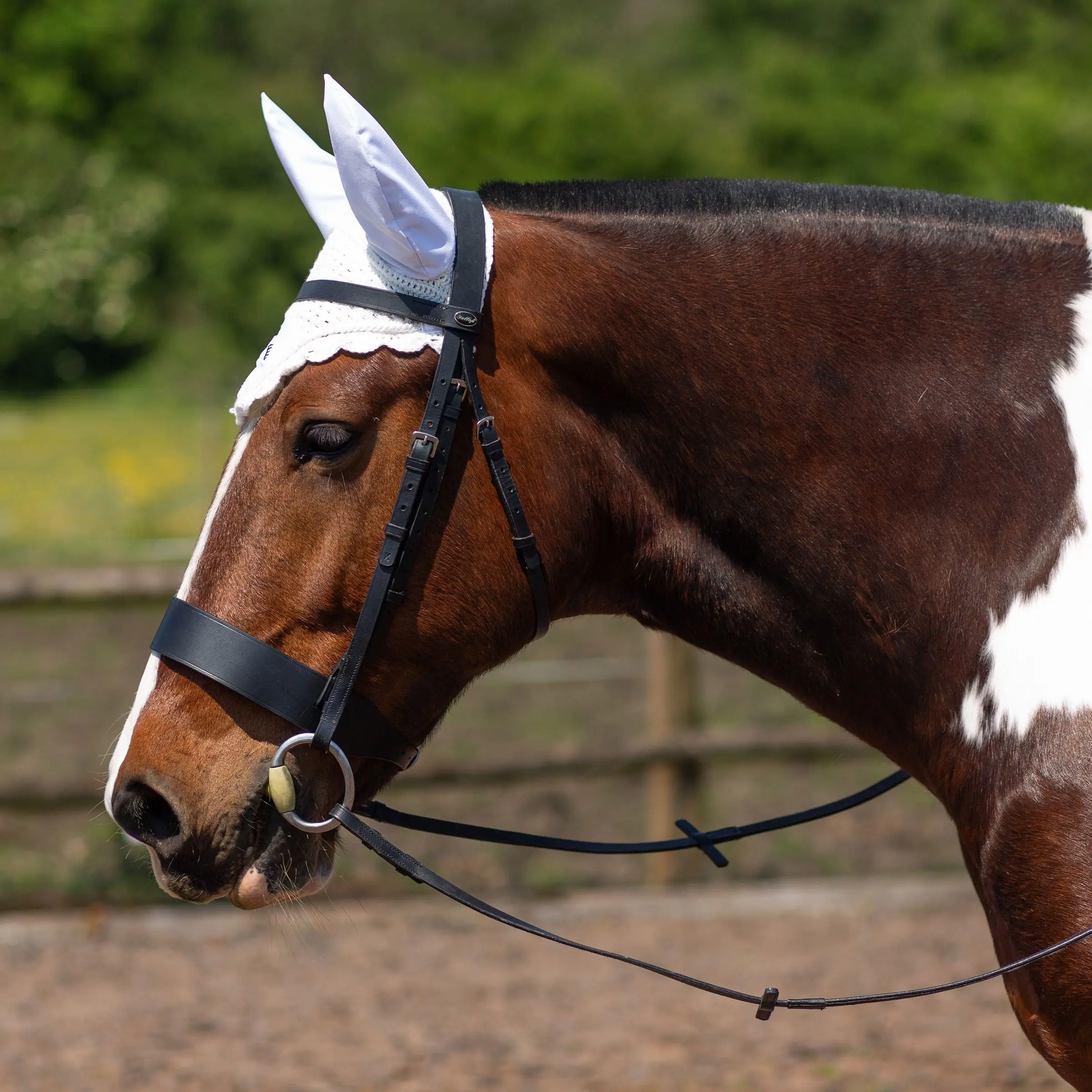 Gallop Classic Fly Veil - Image 3