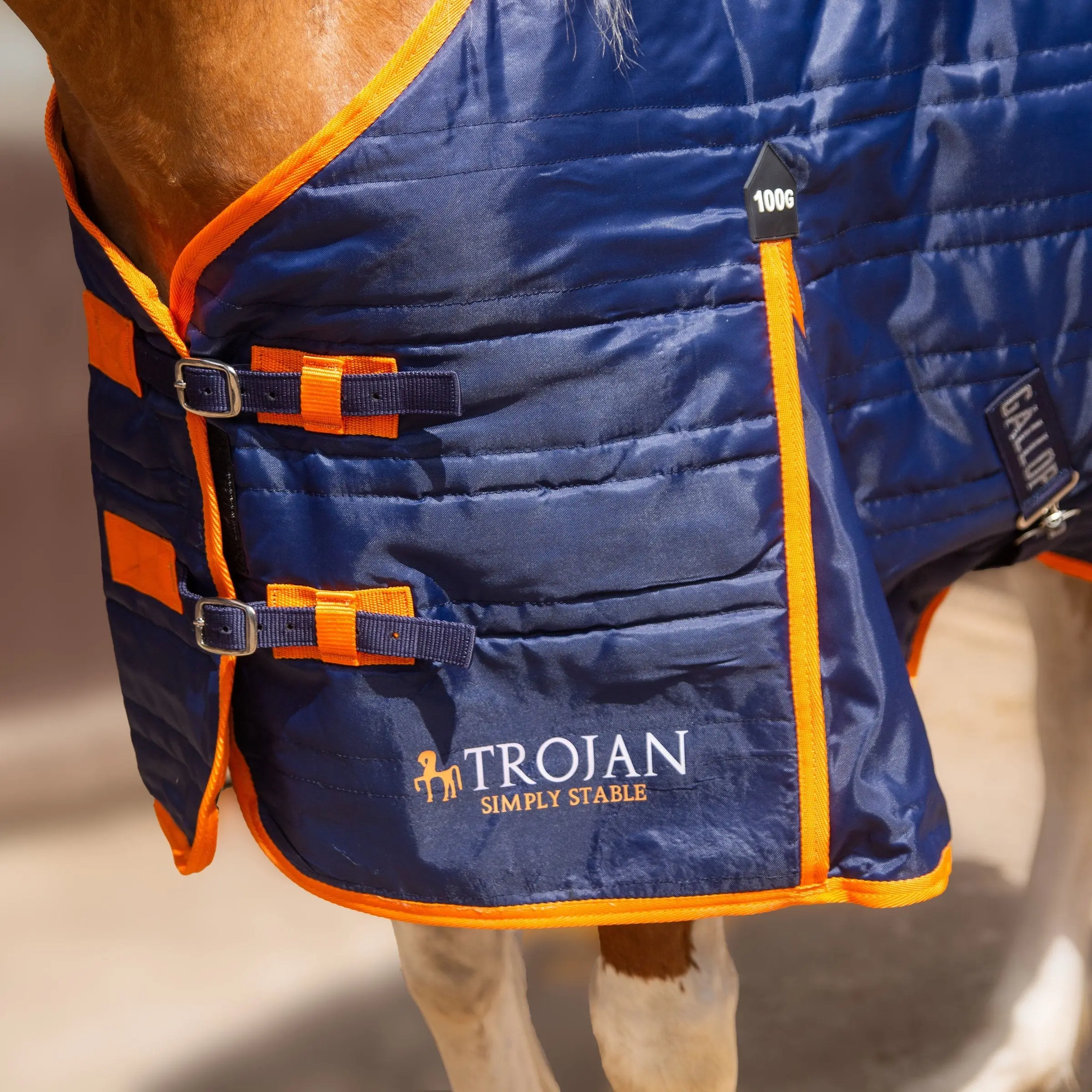 Gallop Trojan 100g Stable Rug - Image 3