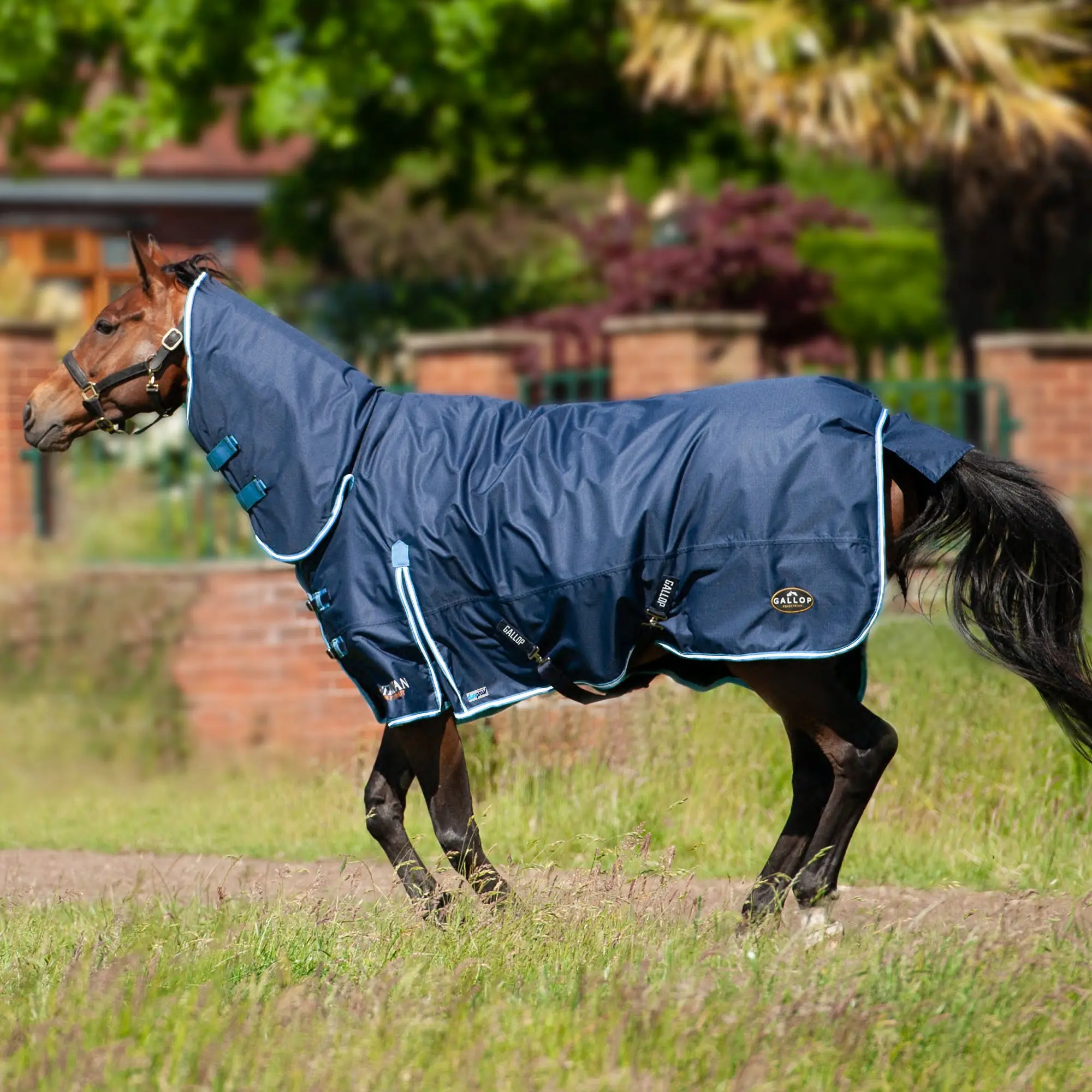 Gallop Trojan Duraproof 300g Turnout Combo