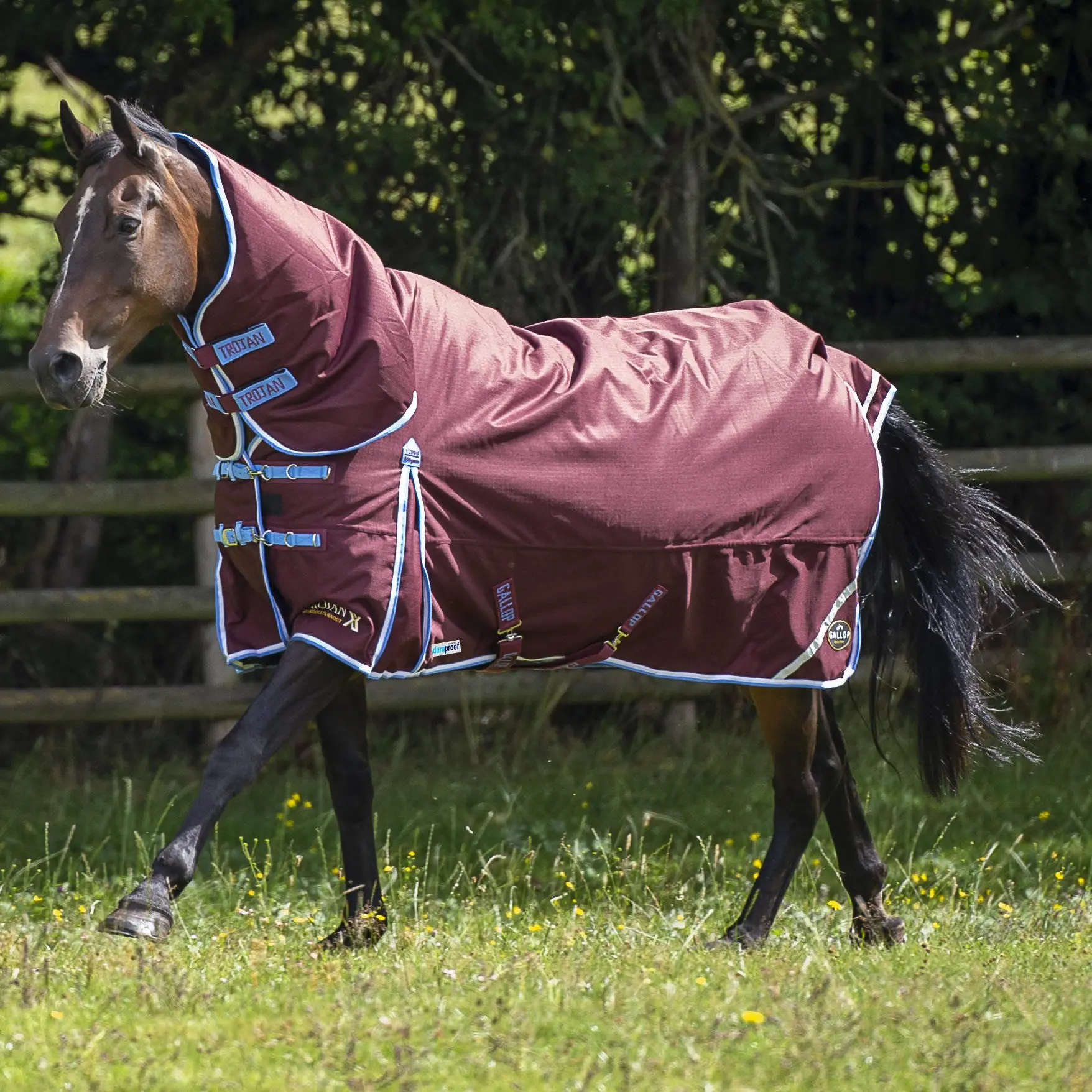 Gallop Trojan Xtra Duraproof 300g Turnout Combo