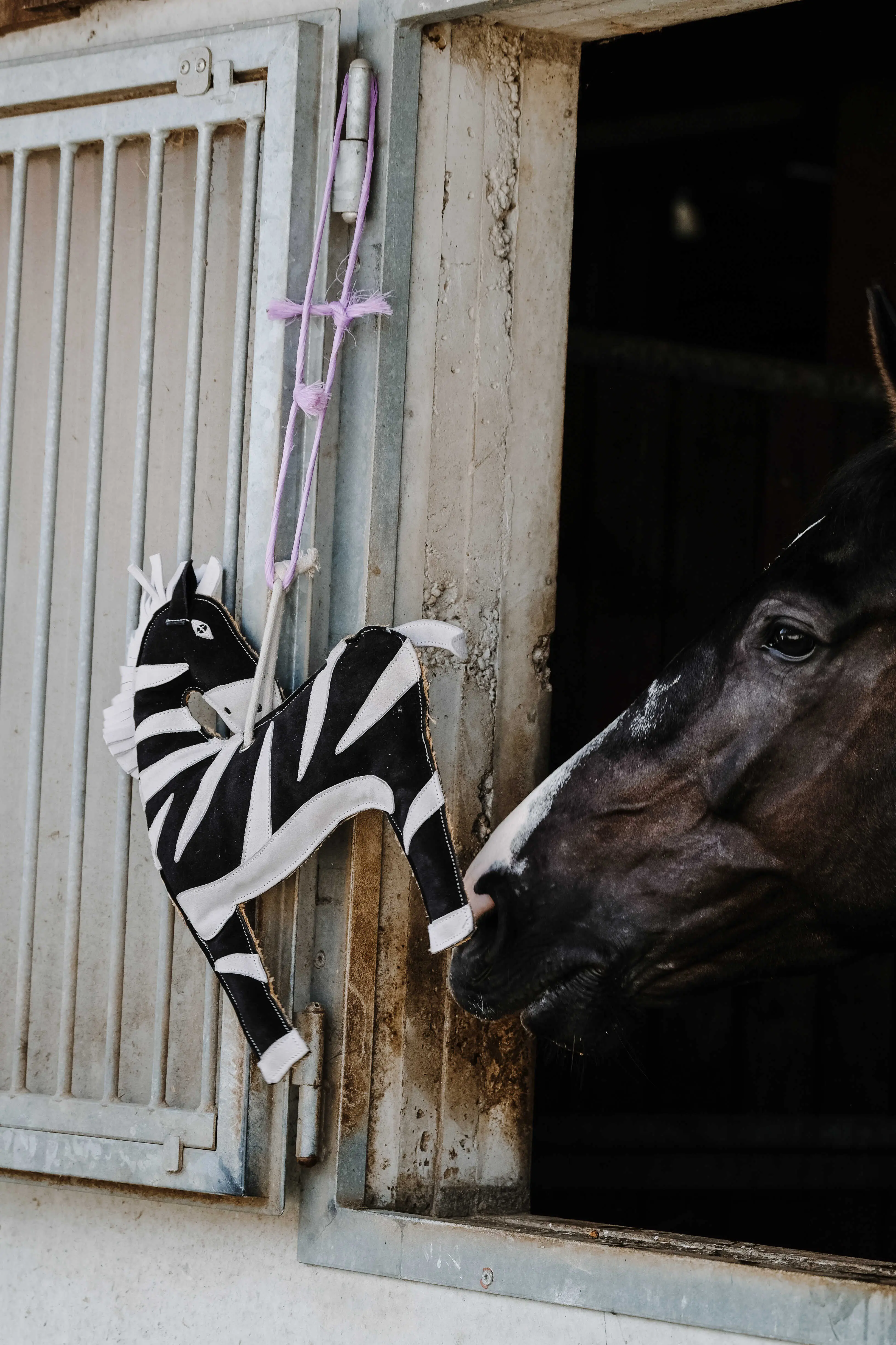 Hippotonic Zebra Stable Toy For Horses - Image 4