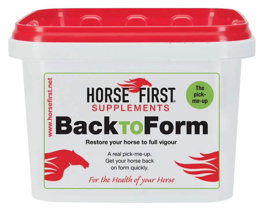 Horse First Back To Form - Image 2
