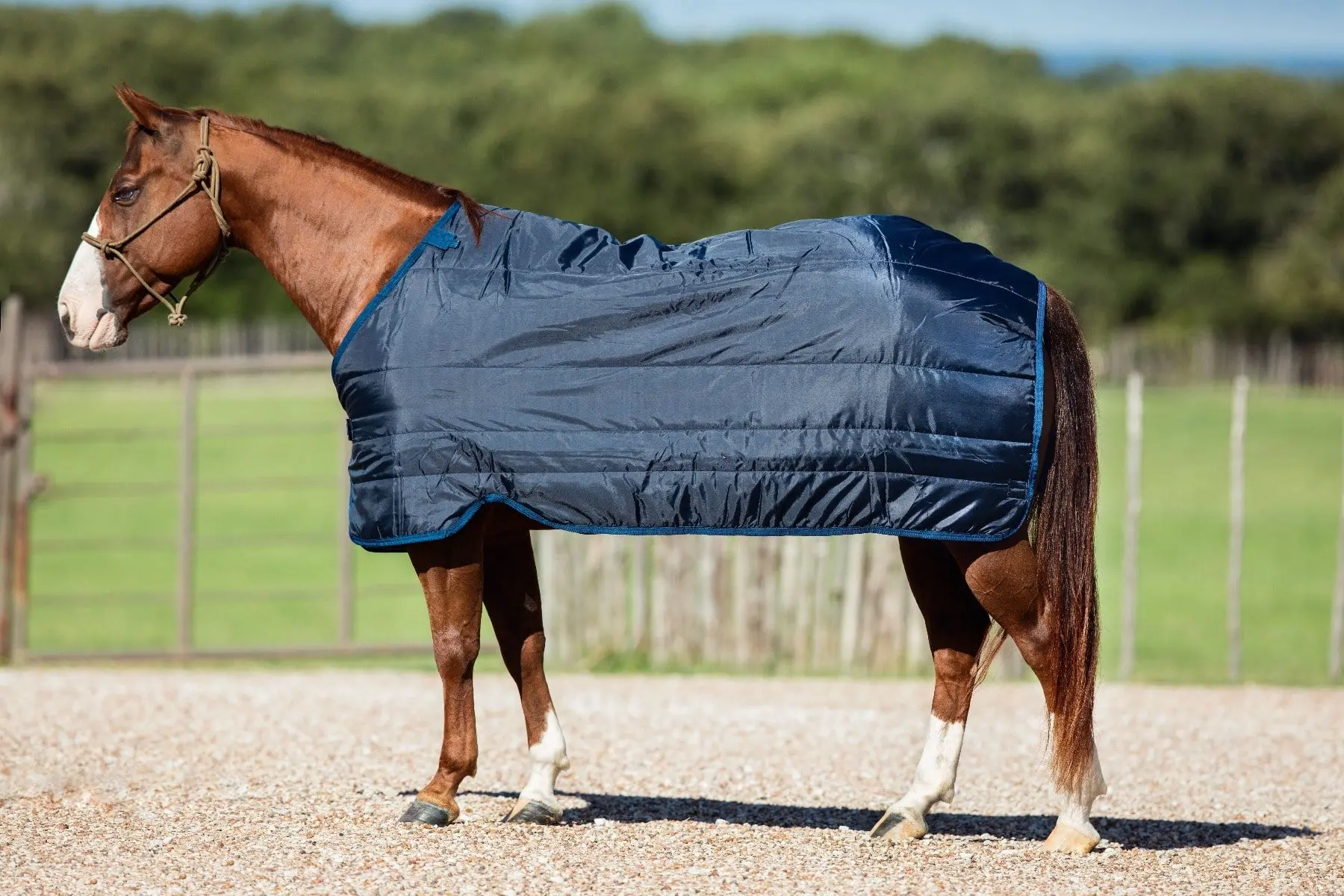 Horseware Ireland 100g Rug Liner - Image 7