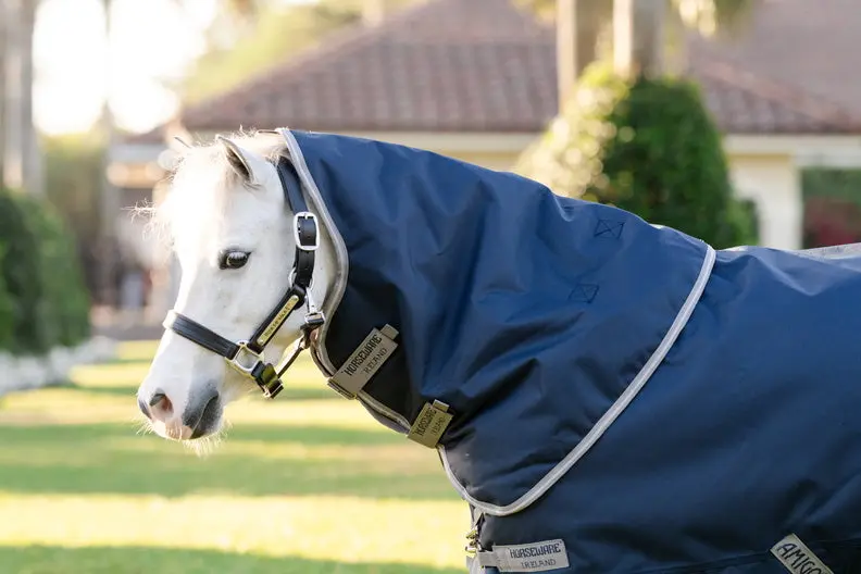 Horseware Ireland Amigo 1200D Plus Pony Turnout Rug 250G Navy / Titanium Grey & Silver - Image 2