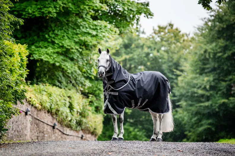 Horseware Ireland Amigo 1200D Plus Turnout Rug 250G Black / Titanium Grey & Silver