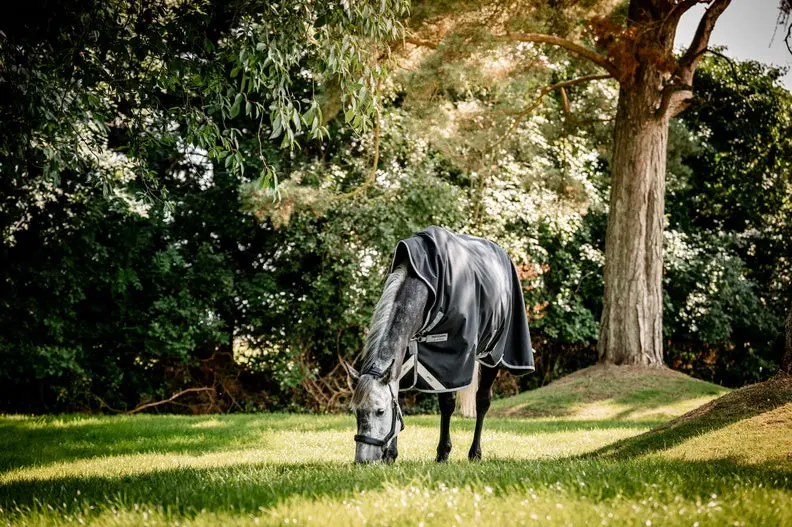 Horseware Ireland Amigo 1200D Wug Turnout Rug 150G Black / Titanium Grey & Silver - Image 9