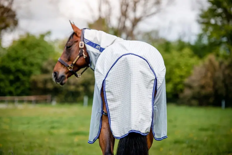 Horseware Ireland Amigo Airflow Plus Rug - Image 18