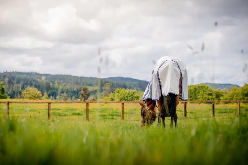 Horseware Ireland Amigo Airflow Plus Rug - Image 5