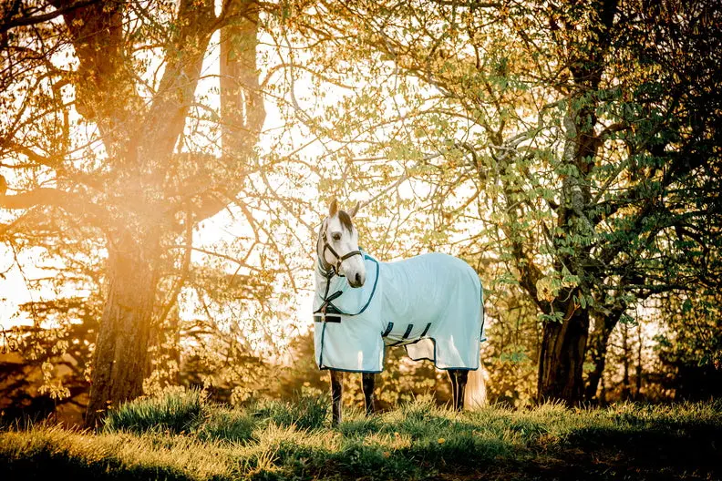 Horseware Ireland Amigo Bug Buster Plus Rug - Image 19