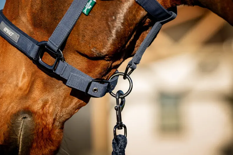 Horseware Ireland Amigo Headcollar & Leadrope Navy - Image 6