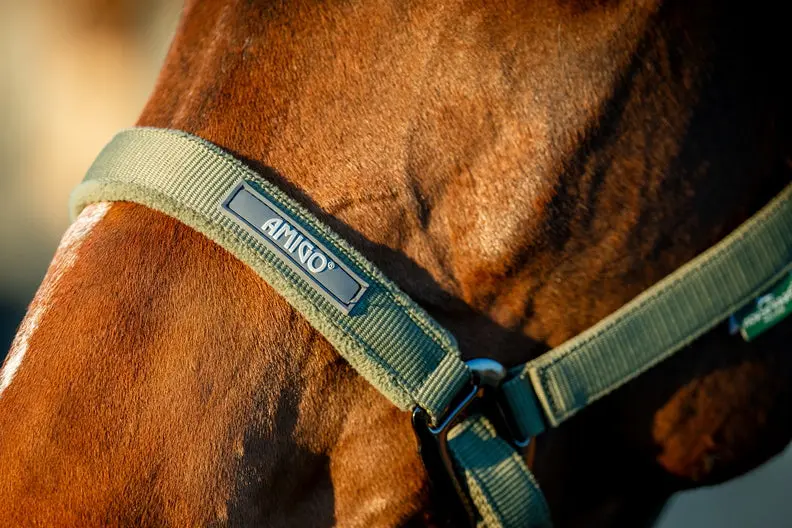 Horseware Ireland Amigo Headcollar & Leadrope Bramble - Image 2