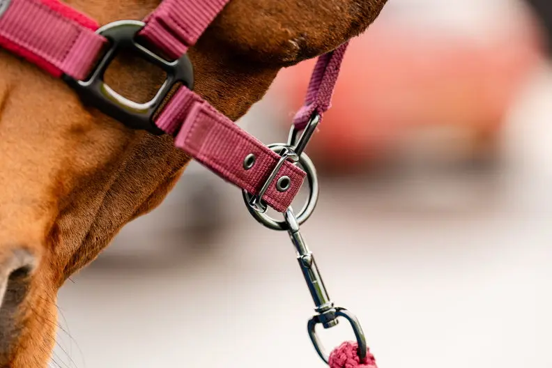 Horseware Ireland Amigo Headcollar & Leadrope Mulberry - Image 7