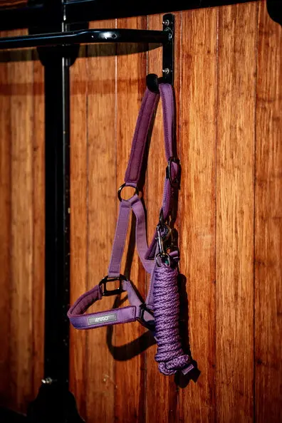Horseware Ireland Amigo Headcollar & Leadrope Winterberry - Image 12