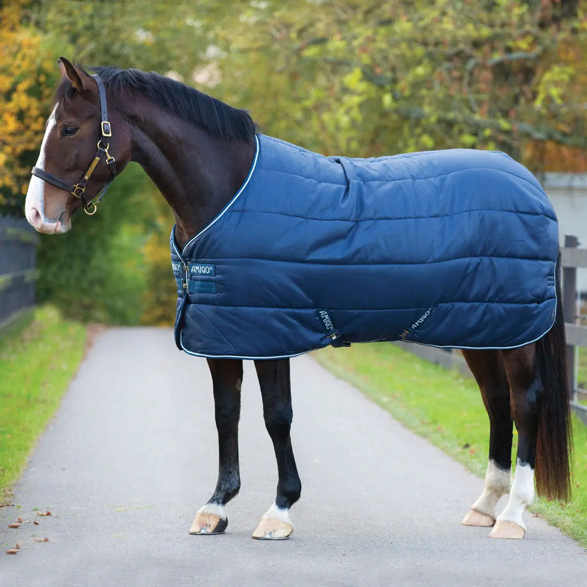 Horseware Ireland Amigo Insulator Medium 200g Stable Rug - Image 3