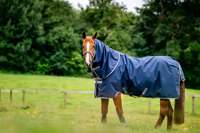 Horseware Ireland Amigo Ripstop 900D Plus Turnout Rug 200G Navy / Titanium Grey - Image 14