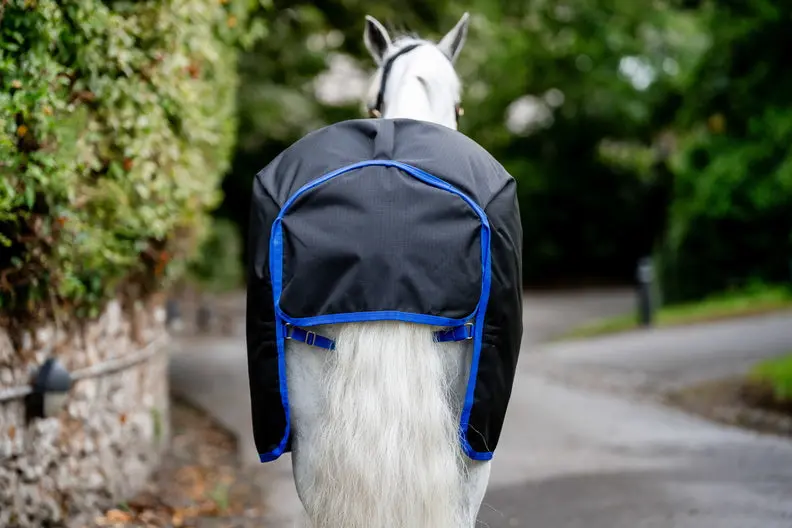 Horseware Ireland Amigo Ripstop 900D Pony Turnout Rug 0G Black / Classic Blue - Image 2