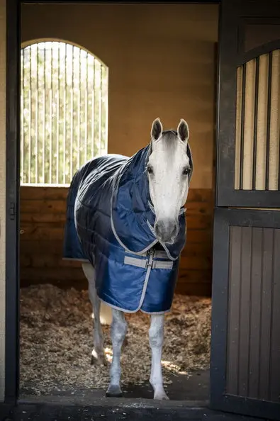 Horseware Ireland Amigo Ripstop Insulator Plus Pony Stable Rug 200G - Image 18