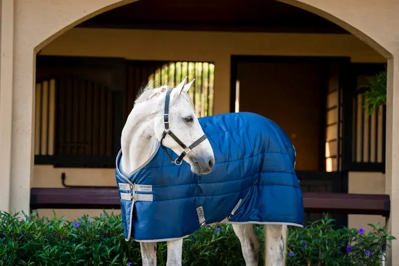 Horseware Ireland Amigo Ripstop Insulator Stable Rug 100G Navy / Titanium Grey - Image 8