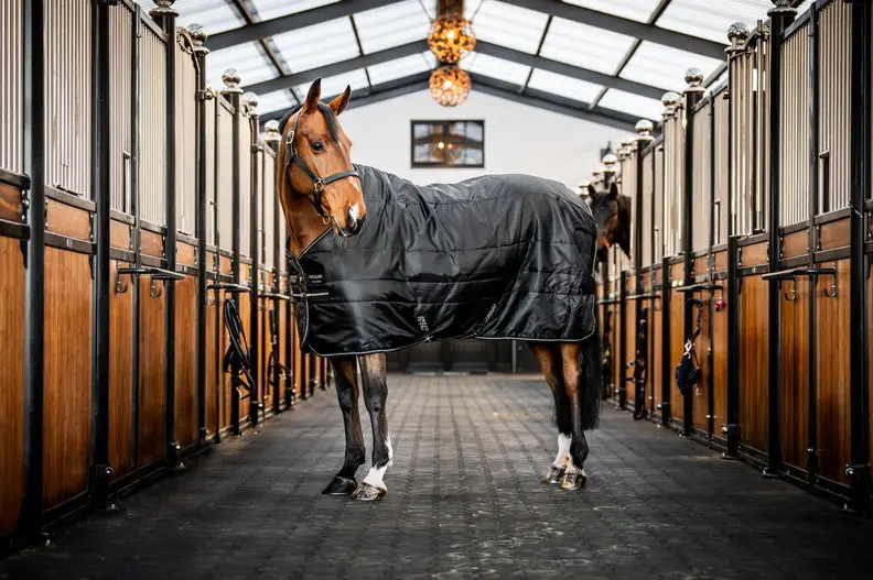 Horseware Ireland Amigo Ripstop Insulator Stable Rug 200G Black / Black & Silver - Image 6