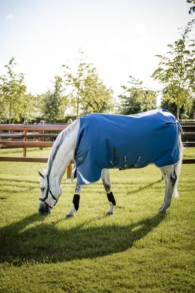 Horseware Ireland Ionic Therapy Turnout Rug 100G - Image 10