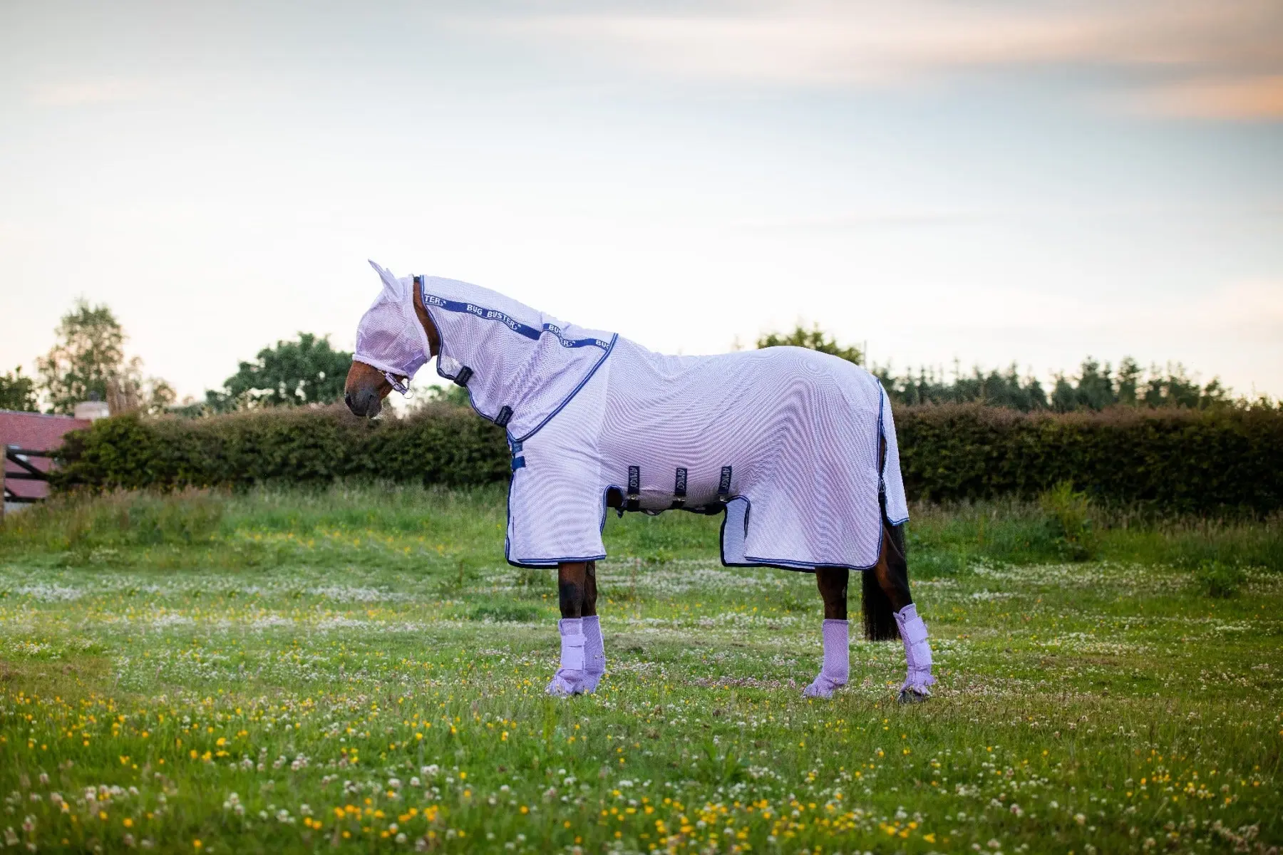 Horseware Ireland Lavender Amigo Bug Buster Fly Rug - 5'6" - Image 2