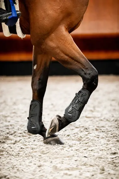 Horseware Ireland Pro Bamboo Tendon Boots - Image 4