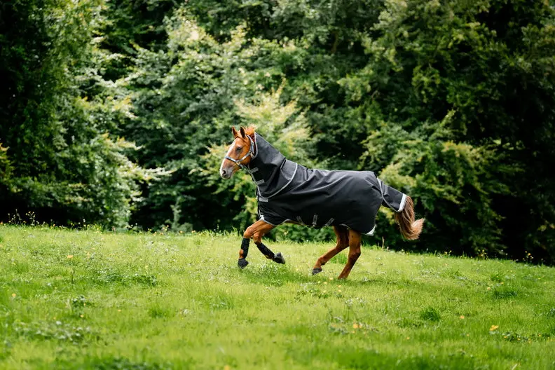Horseware Ireland Rambo 1680D Plus Turnout Rug 0G Black / Thunderstorm Grey & Silver - Image 23