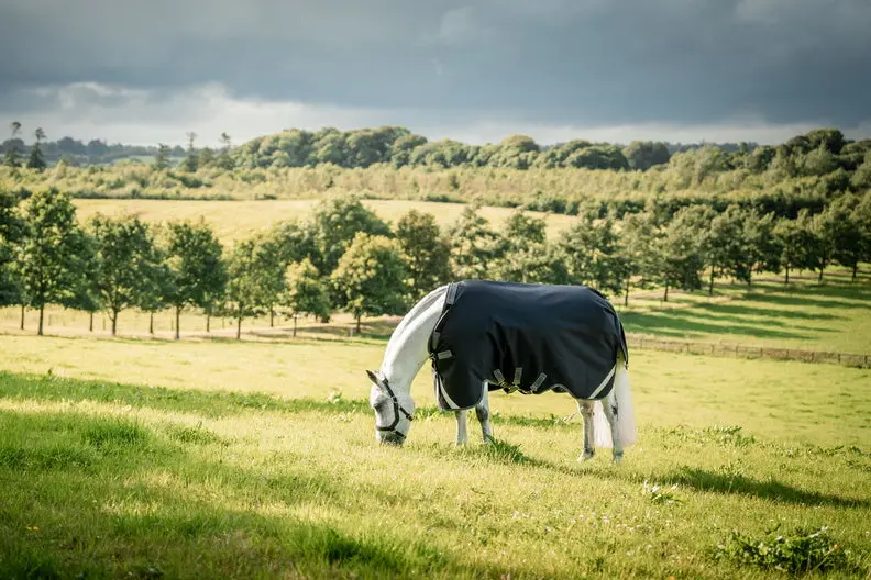 Horseware Ireland Rambo 1680D Turnout Rug 100G Black / Thunderstorm Grey & Silver - Image 24