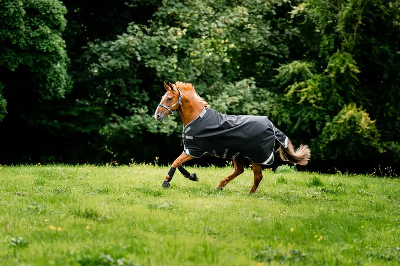 Horseware Ireland Rambo 1680D Turnout Rug 250G Vl Black / Thunderstorm Grey & Silver - Image 6