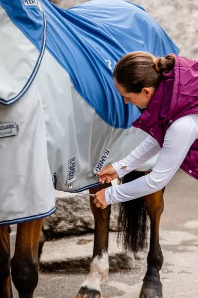 Horseware Ireland Rambo Autumn Series - Image 13