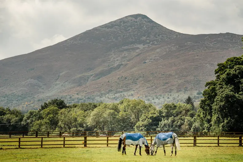 Horseware Ireland Rambo Autumn Series - Image 14