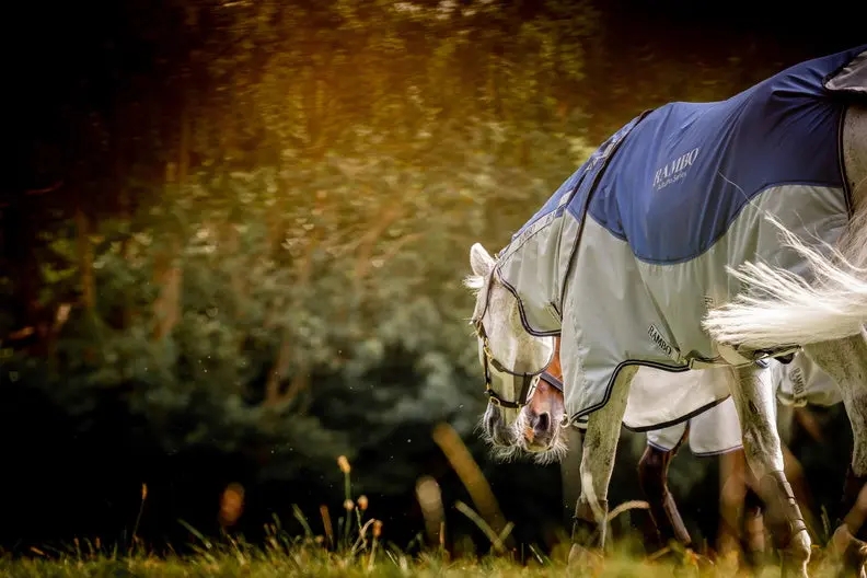 Horseware Ireland Rambo Autumn Series - Image 18