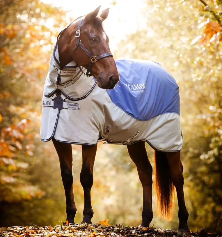 Horseware Ireland Rambo Autumn Series - Image 2