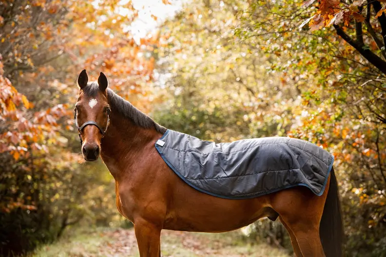 Horseware Ireland Rambo Autumn Series - Image 28