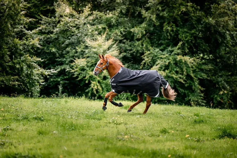 Horseware Ireland Rambo Black 1680D 450G Vari-Layer Turnout Rug - Image 3