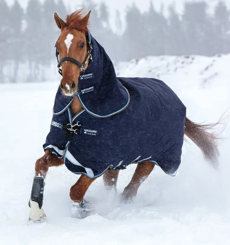Horseware Ireland Rambo Duo Plus Turnout Rug (100G + 300G) - Image 2