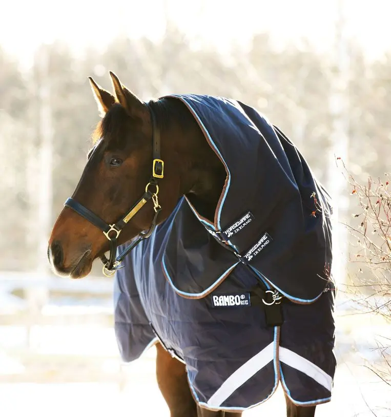 Horseware Ireland Rambo Duo Plus Turnout Rug (100G + 300G) - Image 3