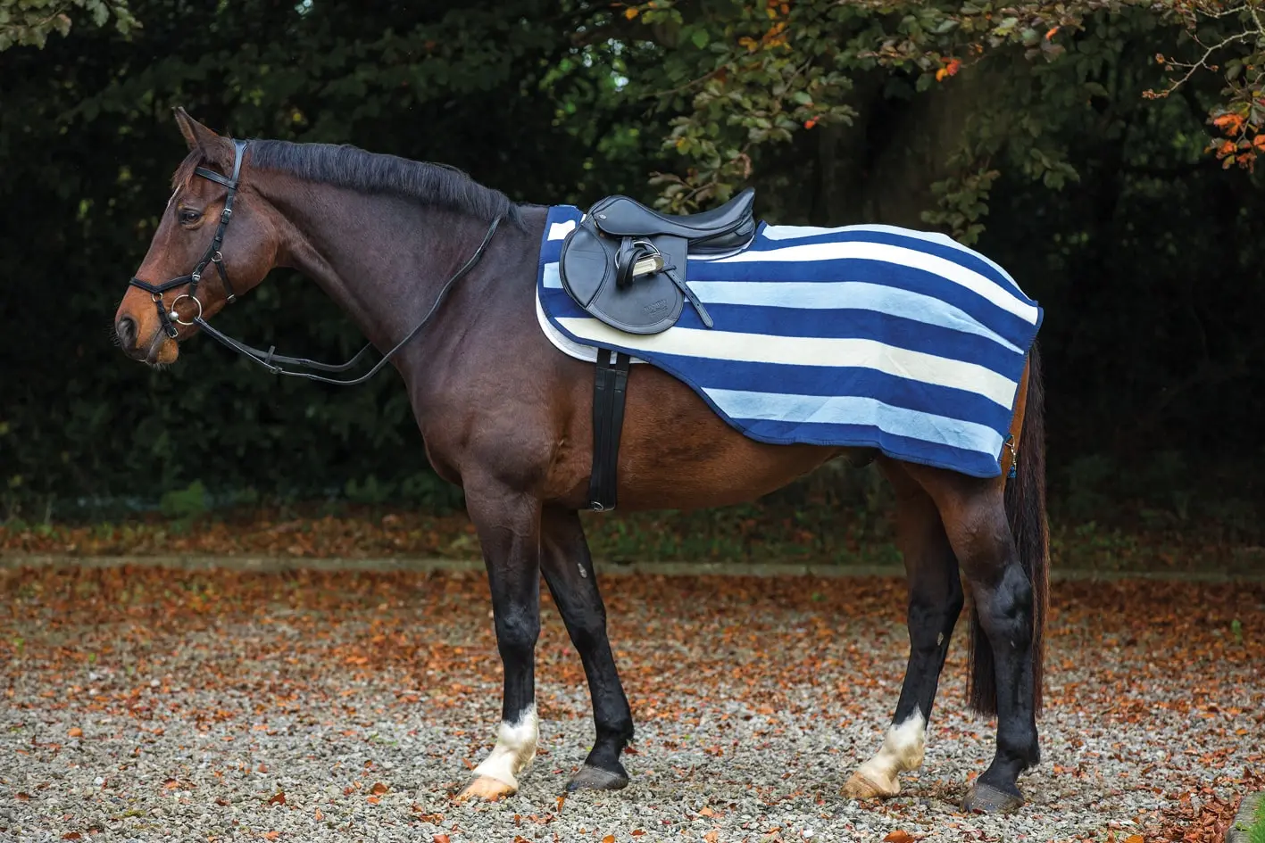 Horseware Ireland Rambo Fleece Competition Sheet