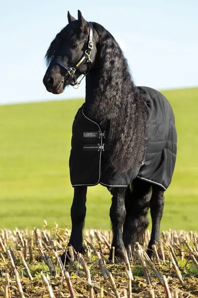 Horseware Ireland Rambo Stable Rug 100G Black / Thunderstorm Grey & Silver - Image 6
