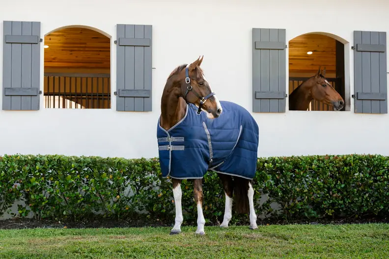 Horseware Ireland Rambo Stable Rug 100G Navy / Thunderstorm Grey & Silver - Image 3
