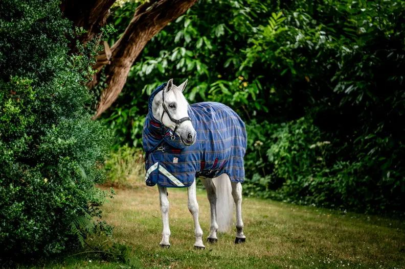 Horseware Ireland Rhino Plus Pony Turnout Rug 250G Vl - Image 4