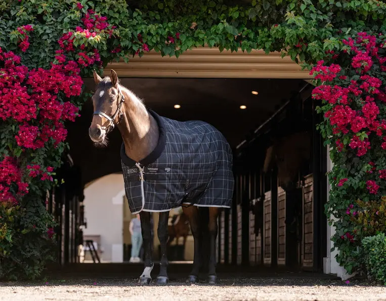 Horseware Ireland Rhino Pony Stable Rug 250G Vl - Image 7